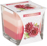 CACTUS FLOWER - Gift Box !! LAST 1 LEFT !!