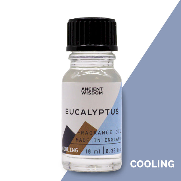 EUCALYPTUS - Fragrance Oil
