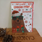 Special Friend - Bear Greeting Card