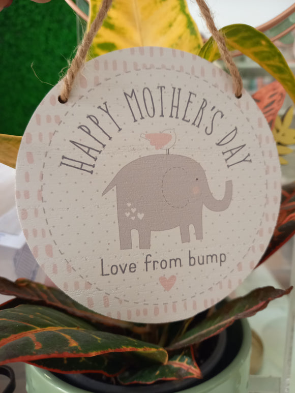 Mother's Day - FROM BUMP