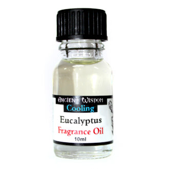 EUCALYPTUS - Fragrance Oil