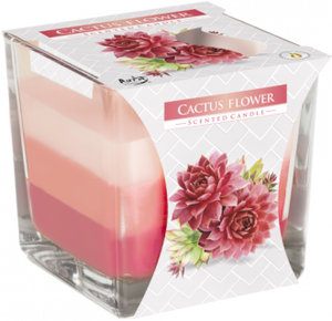 CACTUS FLOWER - Rainbow Candle