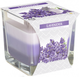 LAVENDER - Rainbow Candle